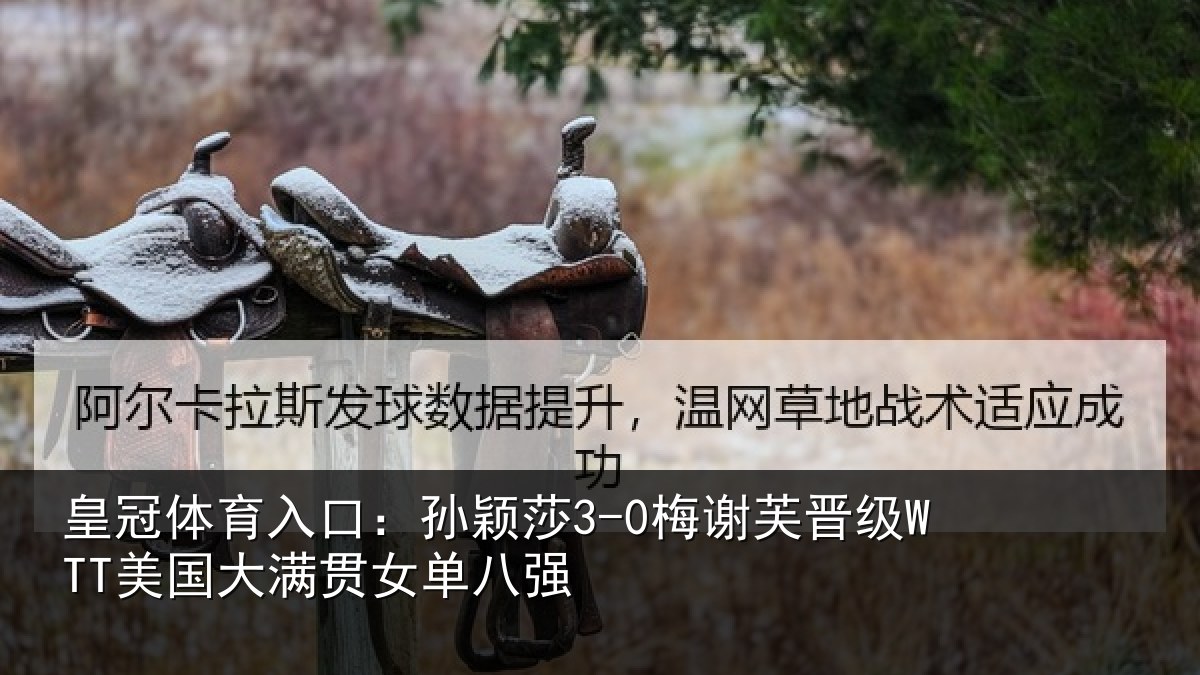 皇冠体育入口:孙颖相关情况大满贯女单八强