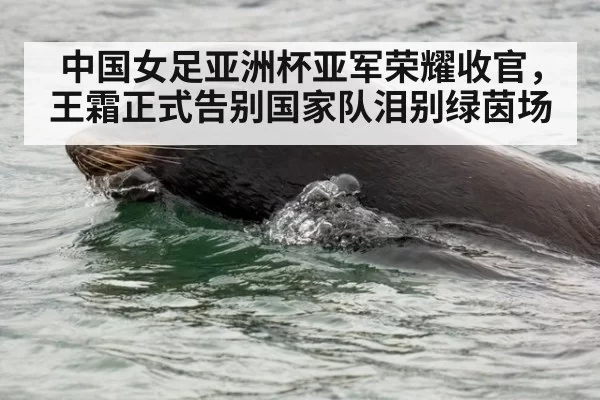 中国女足亚洲杯亚军荣耀收官,王霜正式告别国家队泪别绿茵场